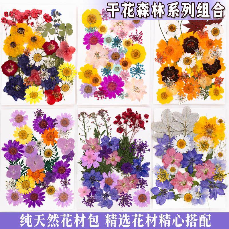 树叶植物标本幼儿园手工贴画DIY干花压花贴脸装饰花妆写真押花