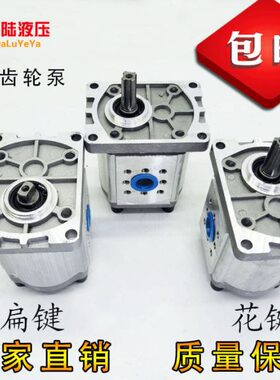 液压油泵CBN-F306/314/316/320/F325液压齿轮泵花键 单键 扁键