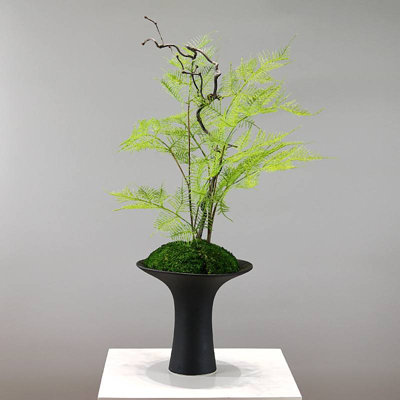 新中式仿真文竹植物盆景酒店玄关柜样板房售楼处软装搭配茶室摆件