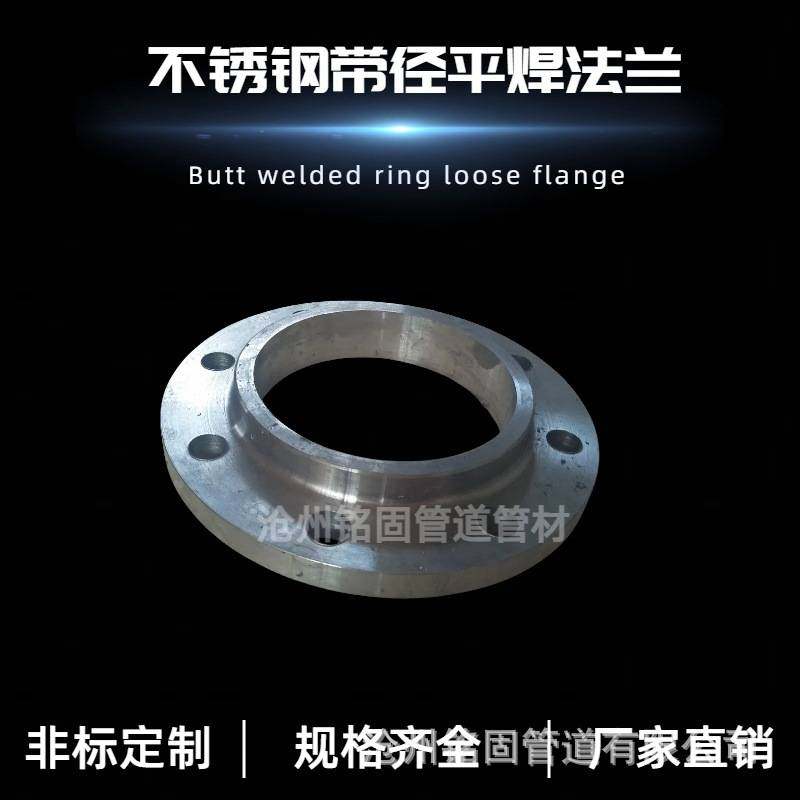 国标GB/T9124标准不锈钢304316 321高压对焊法兰WN DN20 CL900