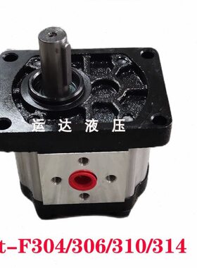 SDH上海大众液压齿轮泵 油泵 CBTt-F310F3P7 306 308 316 314 325
