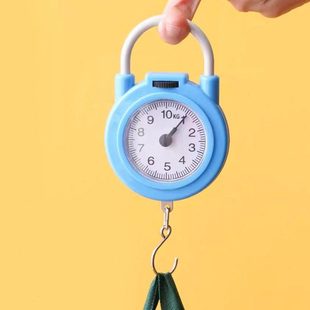 手提弹簧秤多功能便捷式小秤电子秤家用快递小型随身手提秤带勾称