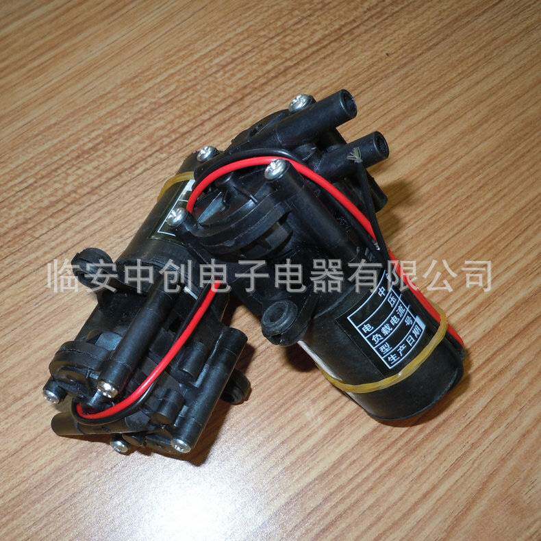 24VA250微型水泵耐腐增压泵便携式水泵直流循环自吸水泵齿轮泵