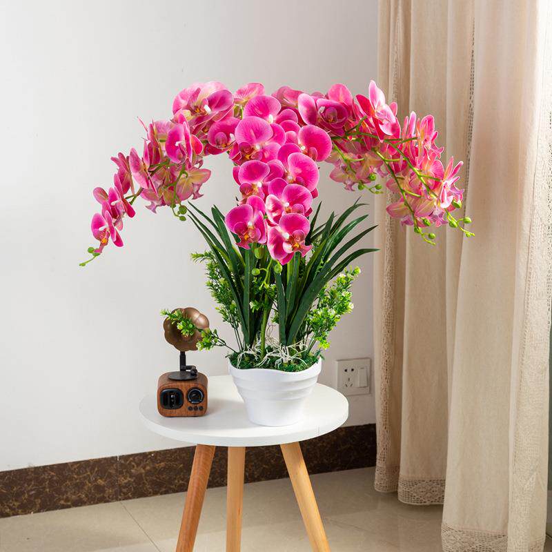 蝴蝶兰真花花大盆景套装假花兰花盆栽客装仿厅餐桌摆件3D打印蝴室