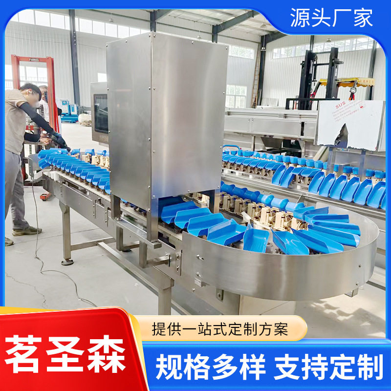 鲍鱼大小分级视觉分选机 水产海鲜预处理流水线 自动分拣残次设备