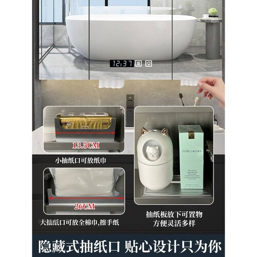 I1不锈钢智能浴室镜柜单独挂墙式带灯抽纸除雾镜面收纳柜900高定