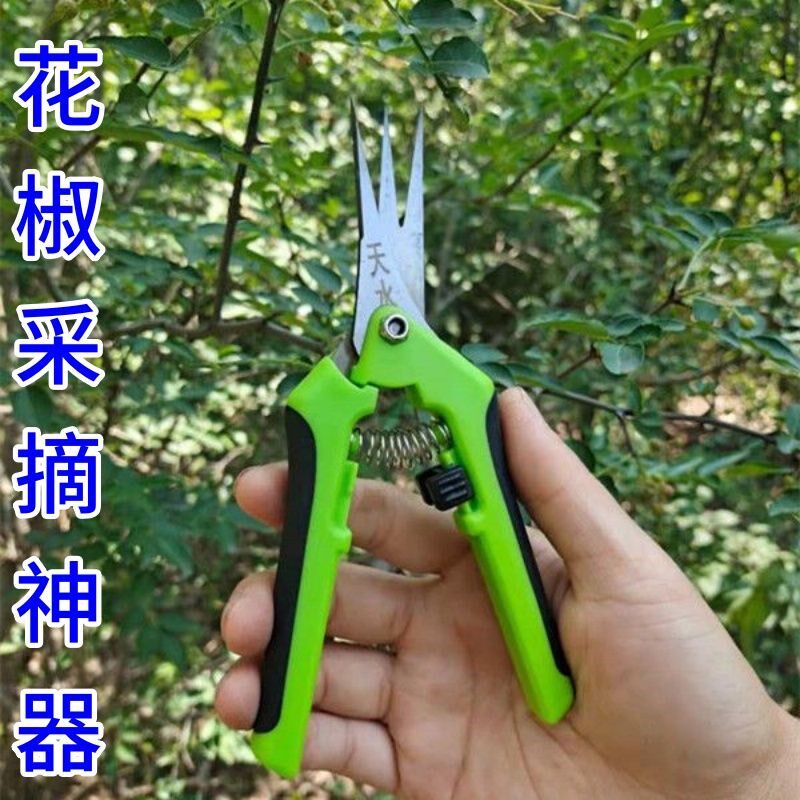 花椒剪采摘f神器摘花椒神器剪花椒工具快速高效小农具摘花椒