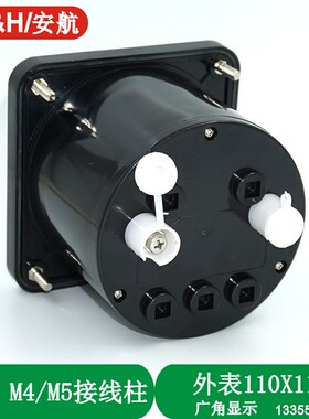 2101A 绝缘表 0-5M FS1mA AH110C 45C8 45C9 F96 Q96 兆欧表