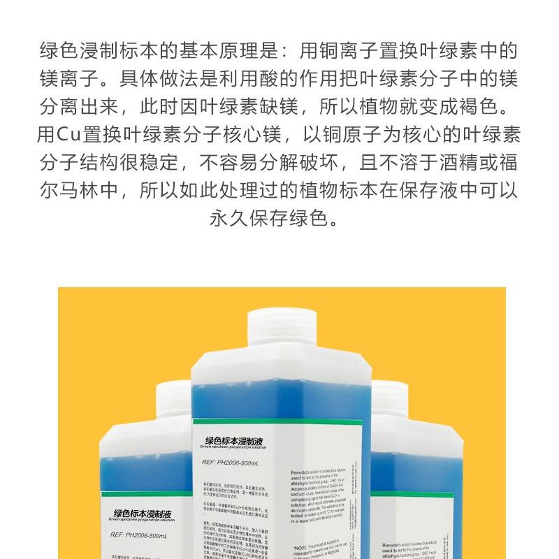 绿色植物标本浸制液固色液 草本植株植物标本保存液 学生科研实验