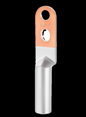 国标DTLS-35/50/70/95平方双孔铜铝过渡鼻紫铜 接线鼻连接 欧式