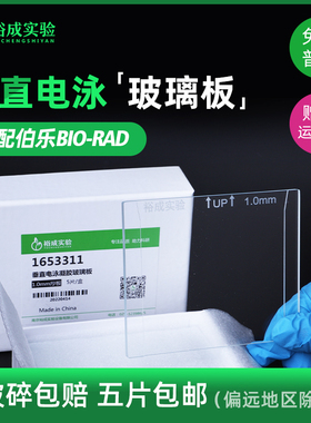 Western Blot玻璃板替代伯乐Bio-Rad WB电泳玻璃板 密封垫/支架