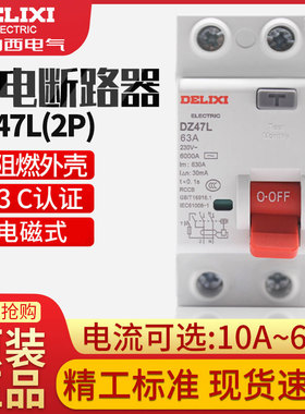 电磁漏电保护器DZ47L家用2P 32A漏保40A 63A空气开关断路器