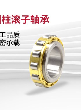 无外圈圆柱滚子轴承RN305M 306 307 308 309 310 311 312 313EM