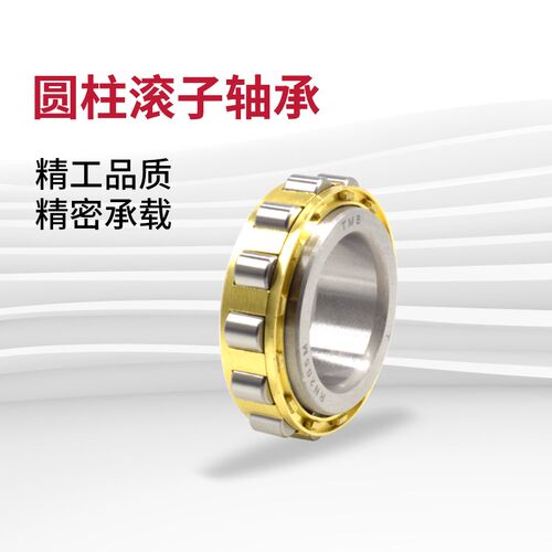 无外圈圆柱滚子轴承RN305M 306 307 308 309 310 311 312 313EM