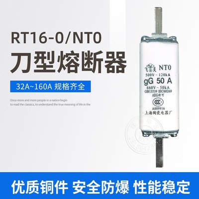 熔断器熔芯NT0陶瓷保险丝RT16-0 Gg32A40A50A63A80A100A125A160A