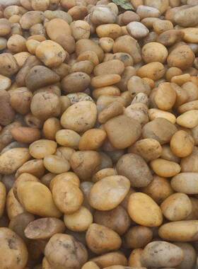 抛景光鹅卵石园林黑色亮光雨花石工铺031501路水程池垫底石观头