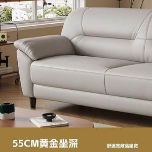 约双人西户皮小型沙发组合客厅三人室位皮艺现代GWT办公皮简沙发