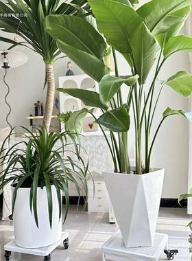 花盆托盘带轮移动底座万轮滚轮重承植物托铁架艺长方形花YUJ托滑