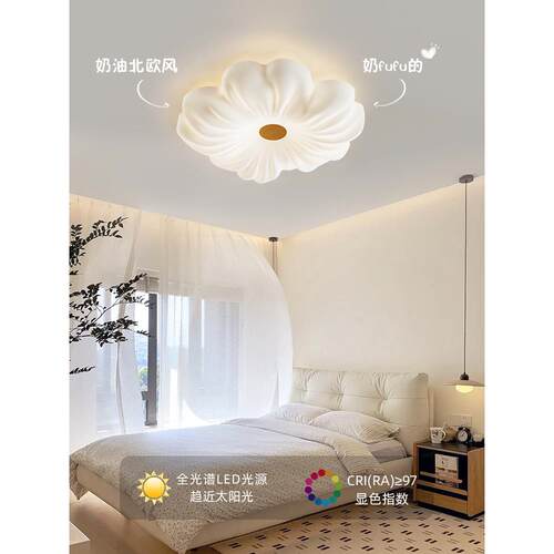 客厅灯205新款现代护简约106大厅灯2朵全光谱眼花奶油风主卧室吸