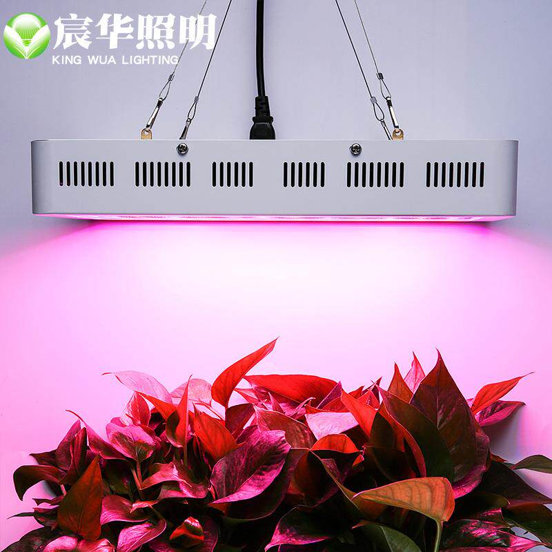 鱼SJY植物灯 300植物灯 L草ED植物生长灯补光灯花草W灯缸水灯