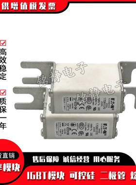 170M1368 170M1369 170M1370 170M1371巴斯曼熔断器现货170M1372