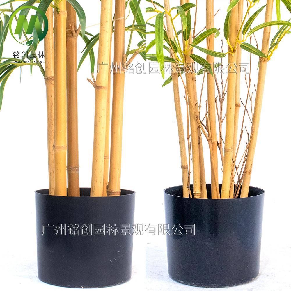 仿真仿绿植造景假子仿真盆栽仿真植物002假竹绿竹植景观用真子盆