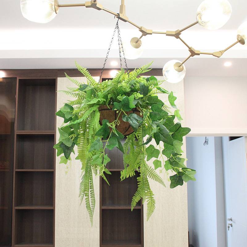 吊花装饰绿植搭配垂吊掉花盆吊链吊盆式悬挂长藤植物橱窗挂饰