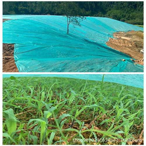 卷绿色林绿园化无纺布防尘地无纺布2草坪边坡盖土小无纺工布厂家