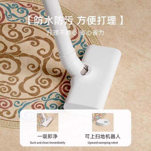 地毯客厅新免中式卧室2026新款床边房间可擦免打理用茶家洗qr2011