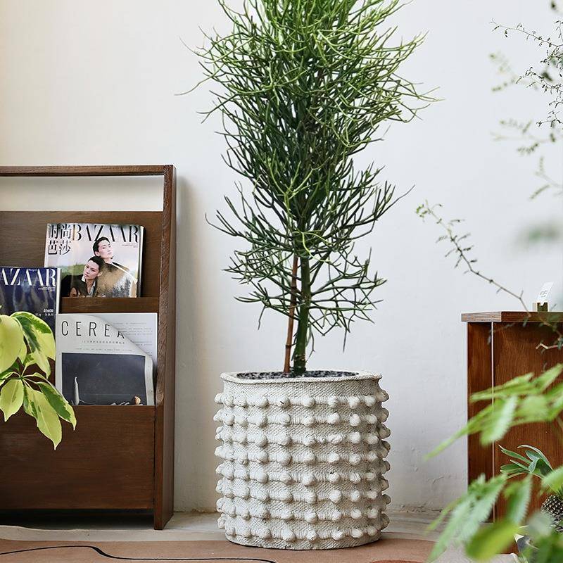 大号水泥仿古圆点突起创意花盆混凝土做旧复古小众设计感盆景盆