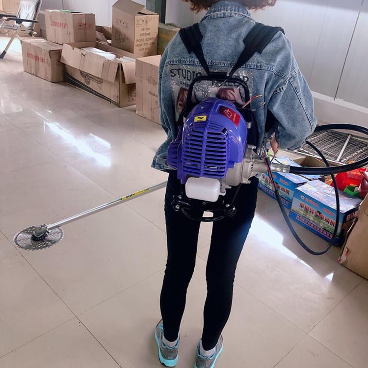 小型菜地割机农DS-4冲程背负草式二冲程收割小麦工具圆盘打用草除