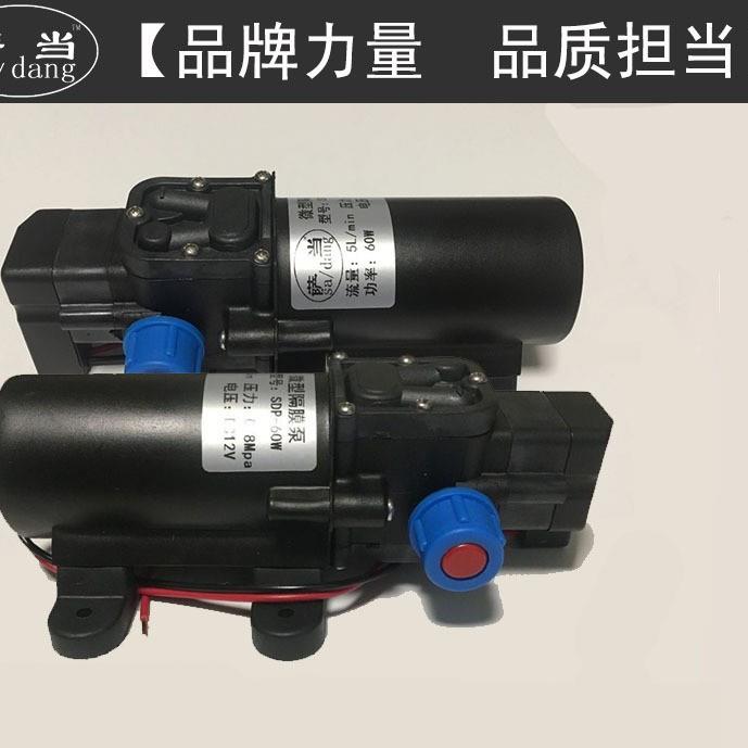 包邮4分接口小水家泵用型水流泵自吸泵直12V微抽379水泵电泵