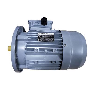 销售E8LECTRO电机F918C6718090100311011213216010电机