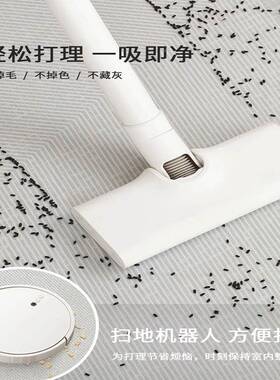 现脏货地客厅毯意式极简沙发茶毯新款耐易打理大sjr28425面积全铺