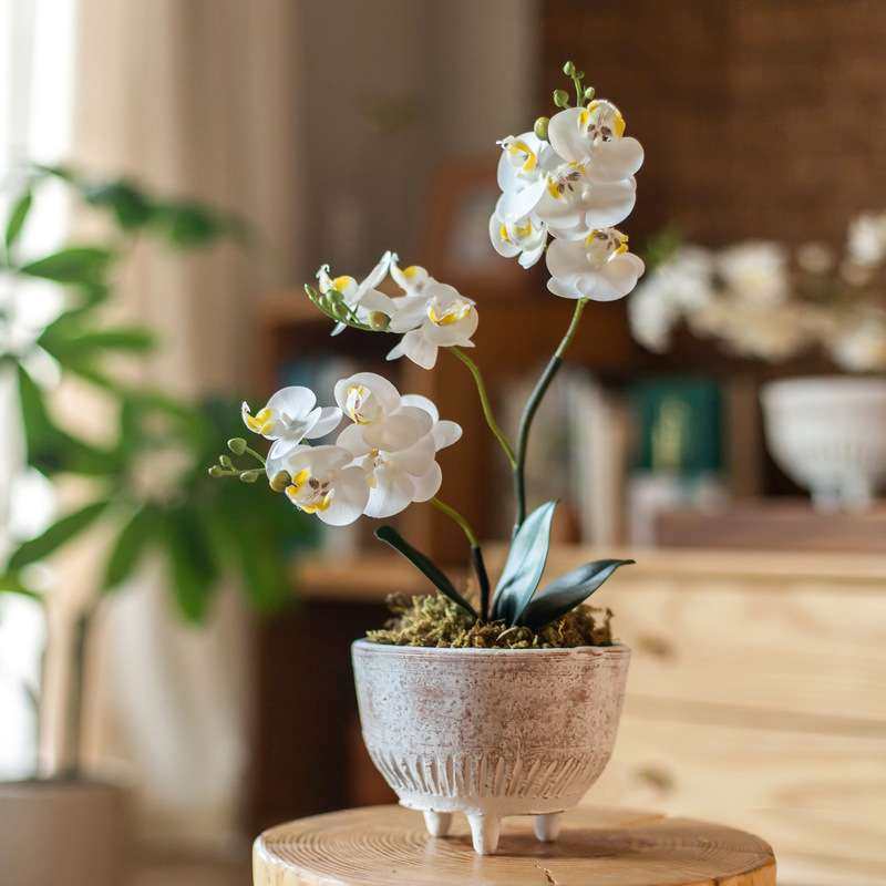 新品源头三脚陶瓷花盆多肉绿植盆家用大口径花器创意插花粗陶透气