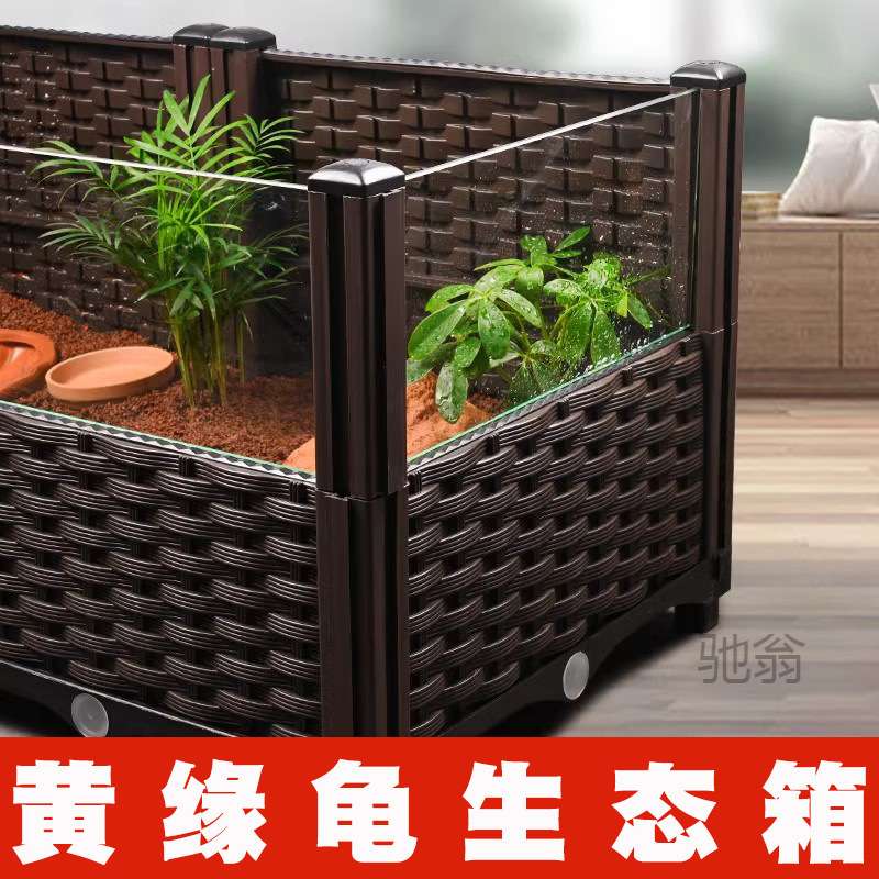 麓f黄缘乌龟专用养殖箱安缘闭壳龟半水龟玻璃生态环境造景植物饲