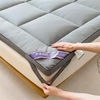 家跨境新202324款日式简约体床垫床榻立榻米护垫厂直销立体羽丝绒