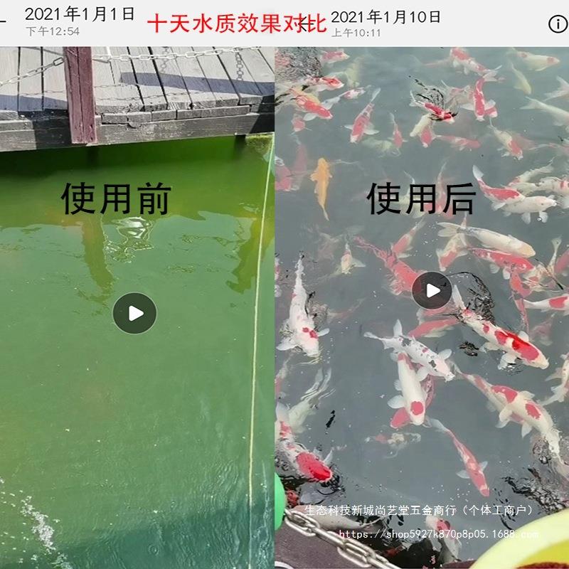 转微鼓滤鱼机池自动PEB反冲洗循环便分离过鱼滤器水产养殖微滤机