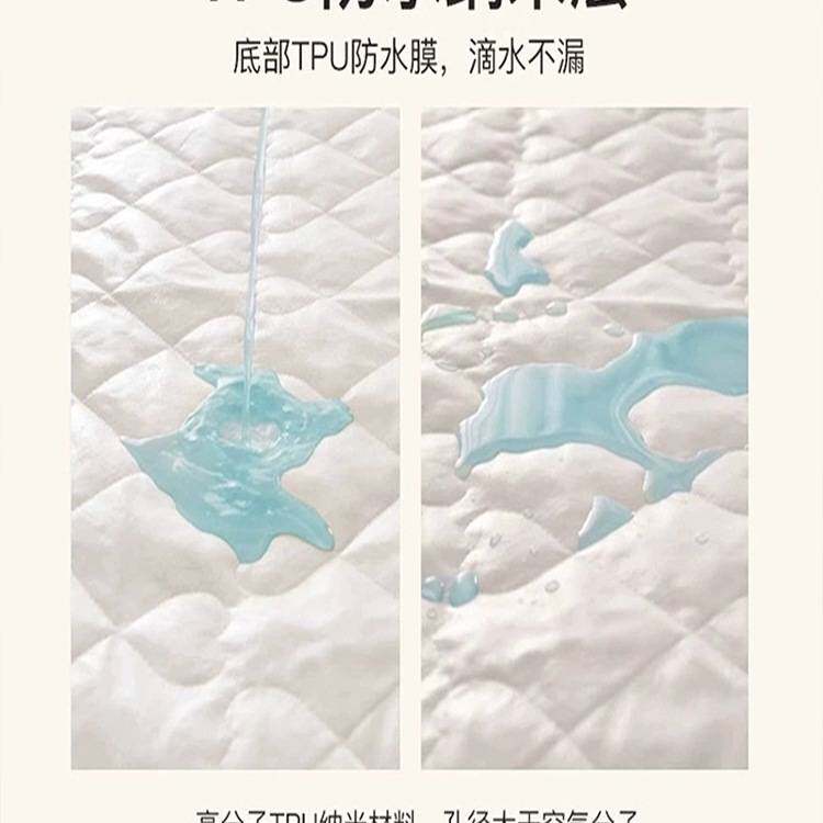 大豆夹棉防水床垫防潮防尘床罩防滑床垫保护套学生宿舍出租房