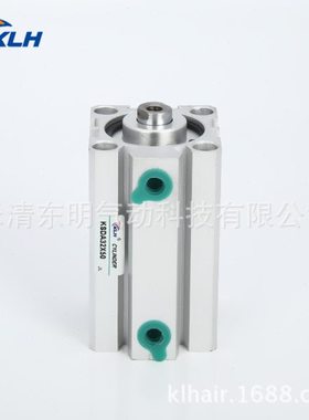 SDA100X50/SDA100X50-B/SDAS100X50/SDAS100X50-B带磁外牙薄型缸