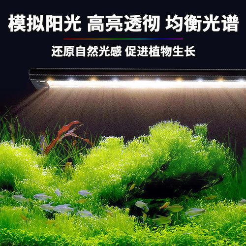 LED全光谱支架灯IP67防水不刺眼