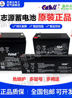 志源CASIL蓄电池CA1212 1222 12V1.2AH2.2AH三星阿兰德防火卷帘门