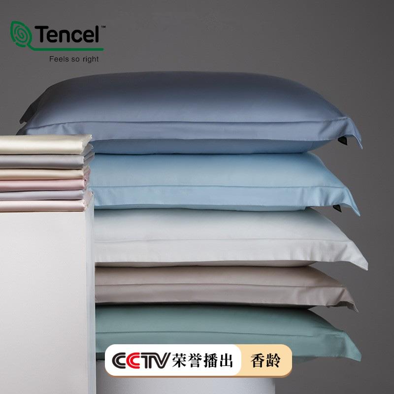 A类100支长绒棉枕套一对装纯色枕头套2025新款纯棉全棉枕芯内胆套