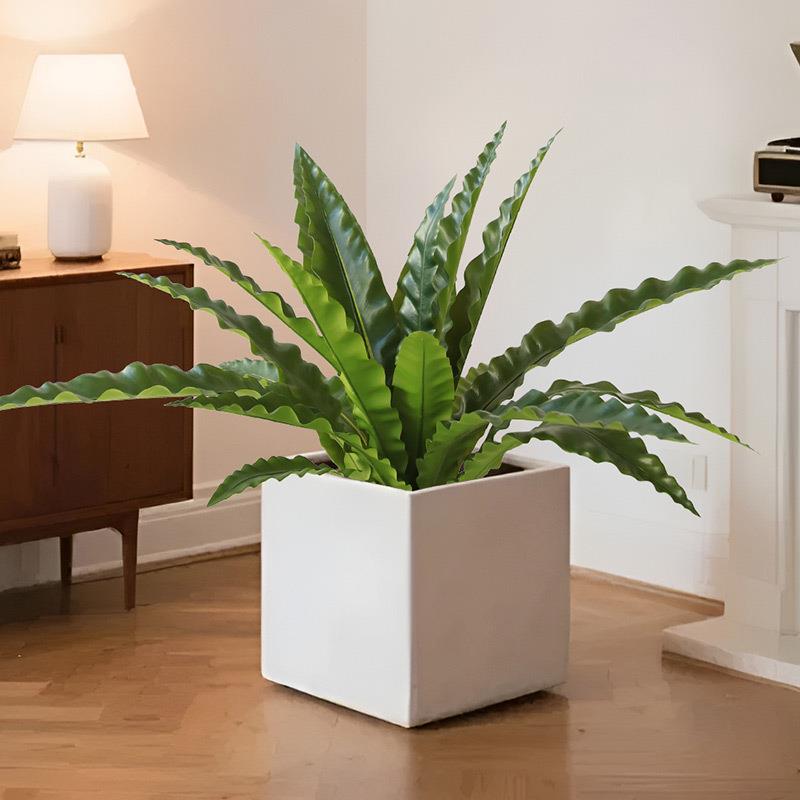 仿真鸟巢蕨 真人造植物造景装饰室内软装蕨类假绿植大叶盆栽