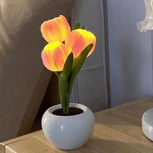 郁金香小夜灯 饰灯 台灯花朵氛围装