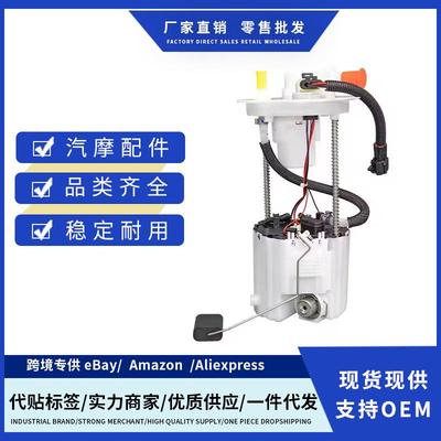 1293420,1106100-FK03汽车燃油泵总成适用Dongfeng Scenery S560