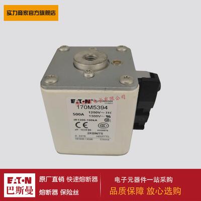 熔断器170M5394 170M5395 170M5396 170M5397 170M5398 170M6338