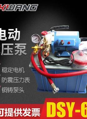 60bar试压泵电动泵高压小型便携式手提式管道试压泵打压机DSY-60