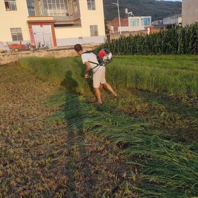 跨境德割草机国汽油打机背负式四冲程小型用多FHC功能农用锄草家