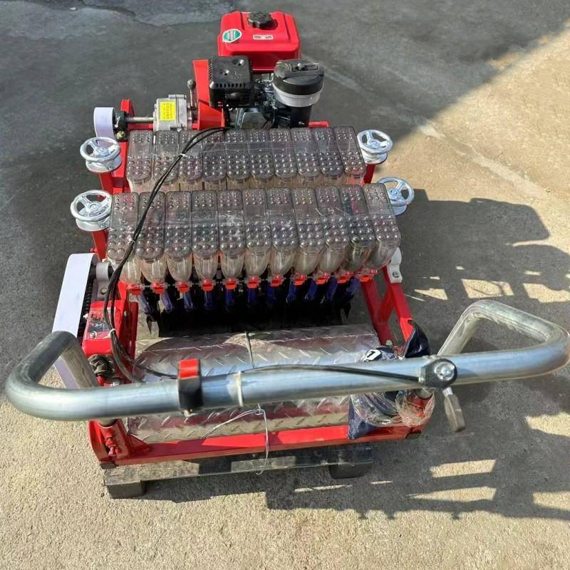 施肥播种一体机雪里红青菜精量点播机免间苗种菜机